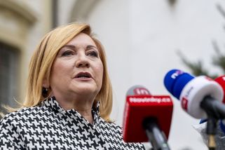Schillerová: Sledujeme náraz Stanjurova letadla do zdi. Dodržení schodku je nepravděpodobné